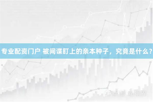 专业配资门户 被间谍盯上的亲本种子，究竟是什么？
