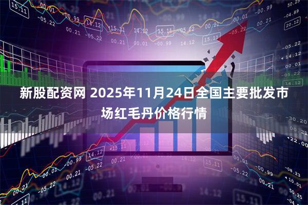 新股配资网 2025年11月24日全国主要批发市场红毛丹价格行情